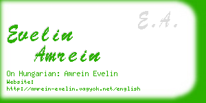 evelin amrein business card